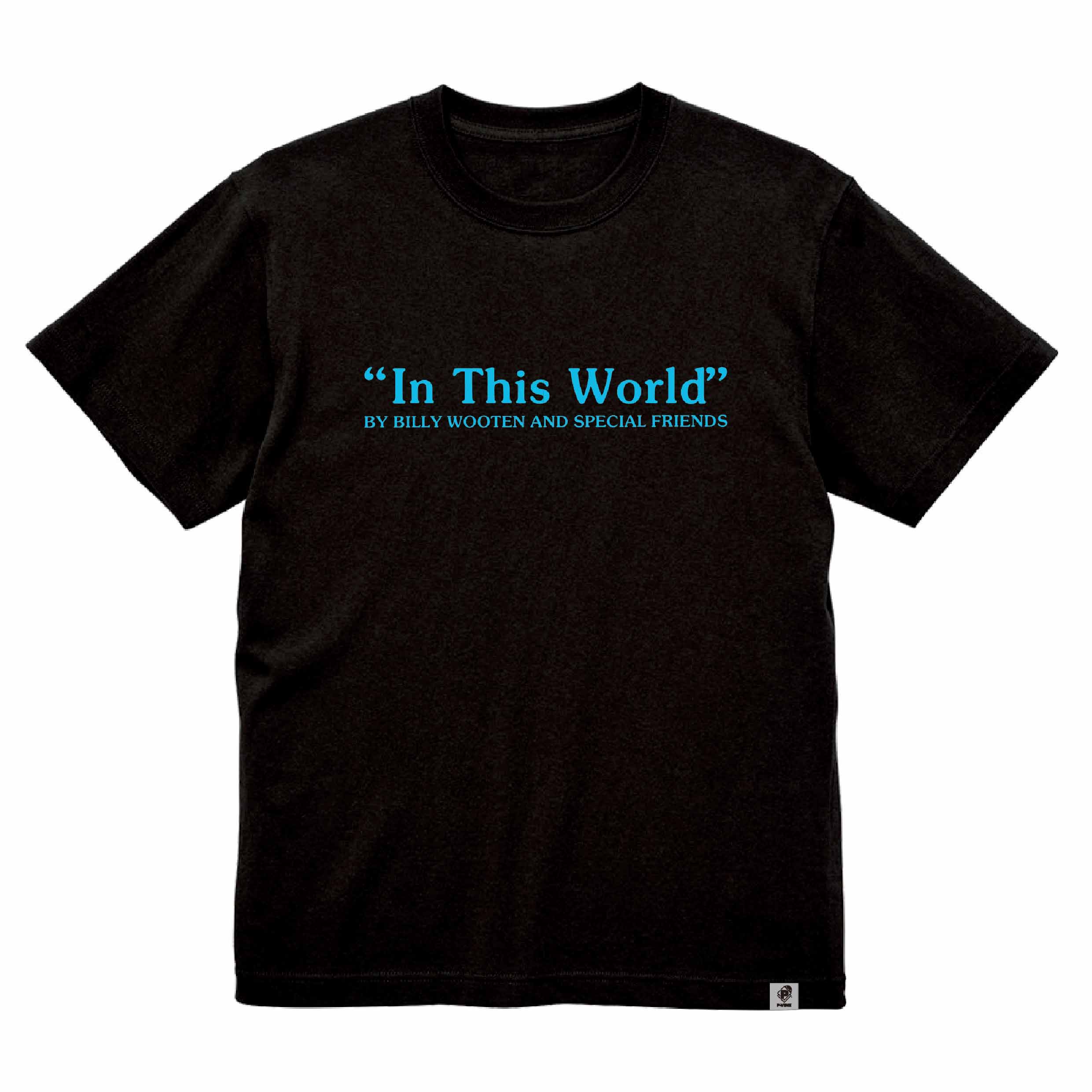 InThisWorld